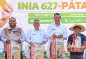 Lambayeque: Gobierno entregó nueva semilla de maíz amarillo duro de alta calidad genética